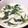 卵せんべい's cooksnap of when they made レンジで簡単！茶碗蒸し！.