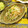 yukanosuke's cooksnap of when they made きのこともやしのサラダ☆黒酢ドレ和え.