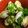 由芽15's cooksnap of when they made 超簡単☆あさりの酒蒸し♪.