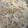 月の影と海's cooksnap of when they made もやしの簡単ナムル.