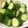 yummy?'s cooksnap of when they made 超お手軽♪胡瓜の浅漬け♪梅昆布茶.