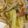 クックYEPDPQ☆'s cooksnap of when they made キャベツとウインナーの蒸しサラダ.