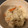 yuko16's cooksnap of when they made 鮭と大葉の炊き込みごはん.