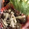 クックJDRLCG☆'s cooksnap of when they made お弁当の隙間に✿キノコのバター醤油炒め✿.