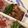 まき56☆'s cooksnap of when they made しめじの豚肉巻き♪.