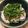 まき56☆'s cooksnap of when they made 大葉香る♬レンコンの梅おかか和え.