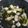 なな八's cooksnap of when they made タケノコのお吸物.