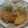 amika_box's cooksnap of when they made 余った蕗の煮物でふきご飯！.