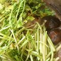 ももへい♪'s cooksnap of when they made 根っこの旨味♡せり鍋.