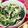 yrk2023's cooksnap of when they made 洋 副菜 豆苗とキノコのペペロンチーノ.