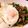 asakorai's cooksnap of when they made 豚肉ガパオライス★簡単★適当でOK.