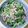 クックKIQTEF☆'s cooksnap of when they made 豚挽き肉、小松菜、きのこのオイスター炒め.