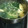 ☆pochiko☆'s cooksnap of when they made 簡単！ほうれん草のかき卵スープ.