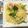 ethnic0229's cooksnap of when they made 菜の花とベーコンのパスタ.