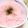 めいちゃち's cooksnap of when they made 炊飯器で簡単キレイ！小エビご飯♪.