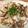 はらぺこしろうさぎ's cooksnap of when they made あさりのバター酒蒸し.