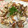 はらぺこしろうさぎ's cooksnap of when they made あさりのバター酒蒸し.