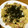 ☆こまっと☆'s cooksnap of when they made 簡単！しめじとベーコンの和風パスタ.