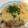カヨヨ☆'s cooksnap of when they made 簡単10分きのことベーコンの和風パスタ.