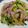 やーーーー's cooksnap of when they made あすっことベーコンの塩だれパスタ♪.