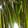 クックKA7VXA☆'s cooksnap of when they made ワラビのアク抜きと塩蔵保存.