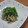 クックAXDUOE☆'s cooksnap of when they made なめろうを、鯖の水煮缶詰でも簡単美味しい.