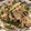 ラテ柴's cooksnap of when they made 簡単お手軽たけのこのサラダ.