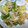 ころころココロン's cooksnap of when they made 本格簡単野菜と牛肉のオイスターソース炒め.
