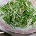 kotohime00's cooksnap of when they made 水菜とツナのサラダ.