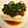 ※＊みほ＊※'s cooksnap of when they made きざみネギの中華風冷奴.