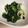 marica猫's cooksnap of when they made 分葱とワカメのヌタ.