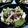 ゆっかりー９９'s cooksnap of when they made 長いもまぐろアボガド.