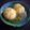 ひさかた's cooksnap of when they made 柚子香る♪かぶの菊花煮 葛あんかけ.