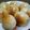 ゆりchan☆クック's cooksnap of when they made HBでクルミとドライフルーツのプチパン.