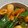 ya_yo_yi's cooksnap of when they made ぴりカラ。ちくわとピーマンの豆板醤炒め.