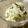 maruru-nn's cooksnap of when they made 常備菜　塩昆布と大根のサラダ.