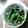 ひよこくま's cooksnap of when they made 春は～菜の花と切干大根のおひたし♪.