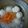 ちまタン♡'s cooksnap of when they made ホッとする味☆鶏つみれとおろしの味噌汁.