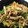 maria18's cooksnap of when they made 【作り置き】オイスターソースで！青椒肉絲.