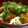 クック48M6TD☆'s cooksnap of when they made 鶏てりマヨ丼.
