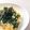 maaanyan's cooksnap of when they made レンジで~味噌ちくわタマゴ丼.