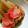 低カロ探検隊's cooksnap of when they made ふきの煮物.
