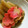 低カロ探検隊's cooksnap of when they made ふきの煮物.