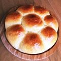 ピュアolive＊'s cooksnap of when they made HBで簡単！バターロールなちぎりパン♪.