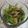 湊ひぃろ's cooksnap of when they made 茎ワカメ と ツナの ポン酢和え.