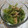 湊ひぃろ's cooksnap of when they made 茎ワカメ と ツナの ポン酢和え.
