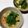 sato3★'s cooksnap of when they made 鳥皮でナンプラースープ.
