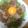 とびうおちゃん's cooksnap of when they made レッドロック風ローストビーフ丼.