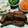 クックJ6EAK0☆'s cooksnap of when they made スペアリブの中華風煮込み.