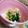 curisupin's cooksnap of when they made 離乳食中期〜＊野菜と豆腐のごま和え.